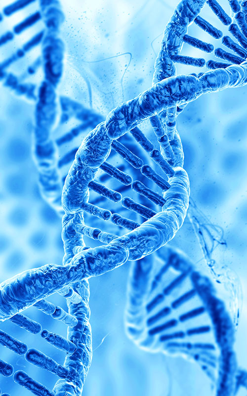 Anhua Bio Meluncurkan Produk PDRN: Rekonstruksi Rantai Pasokan Global Bahan Baku Regenerasi Tisu kanthi Biologi Sintetis